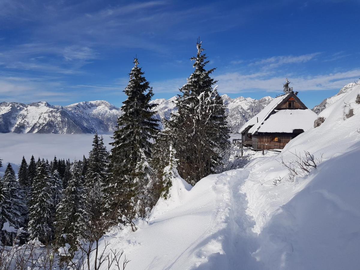Chalet Gorenjka - Velika Planina Stahovica Eksteriør billede