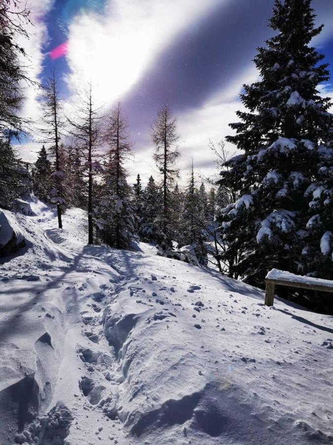 Chalet Gorenjka - Velika Planina Stahovica Eksteriør billede