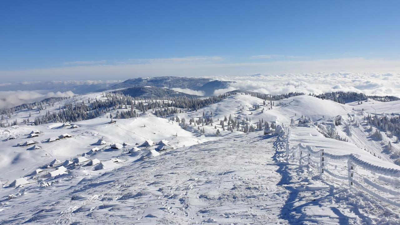 Chalet Gorenjka - Velika Planina Stahovica Eksteriør billede
