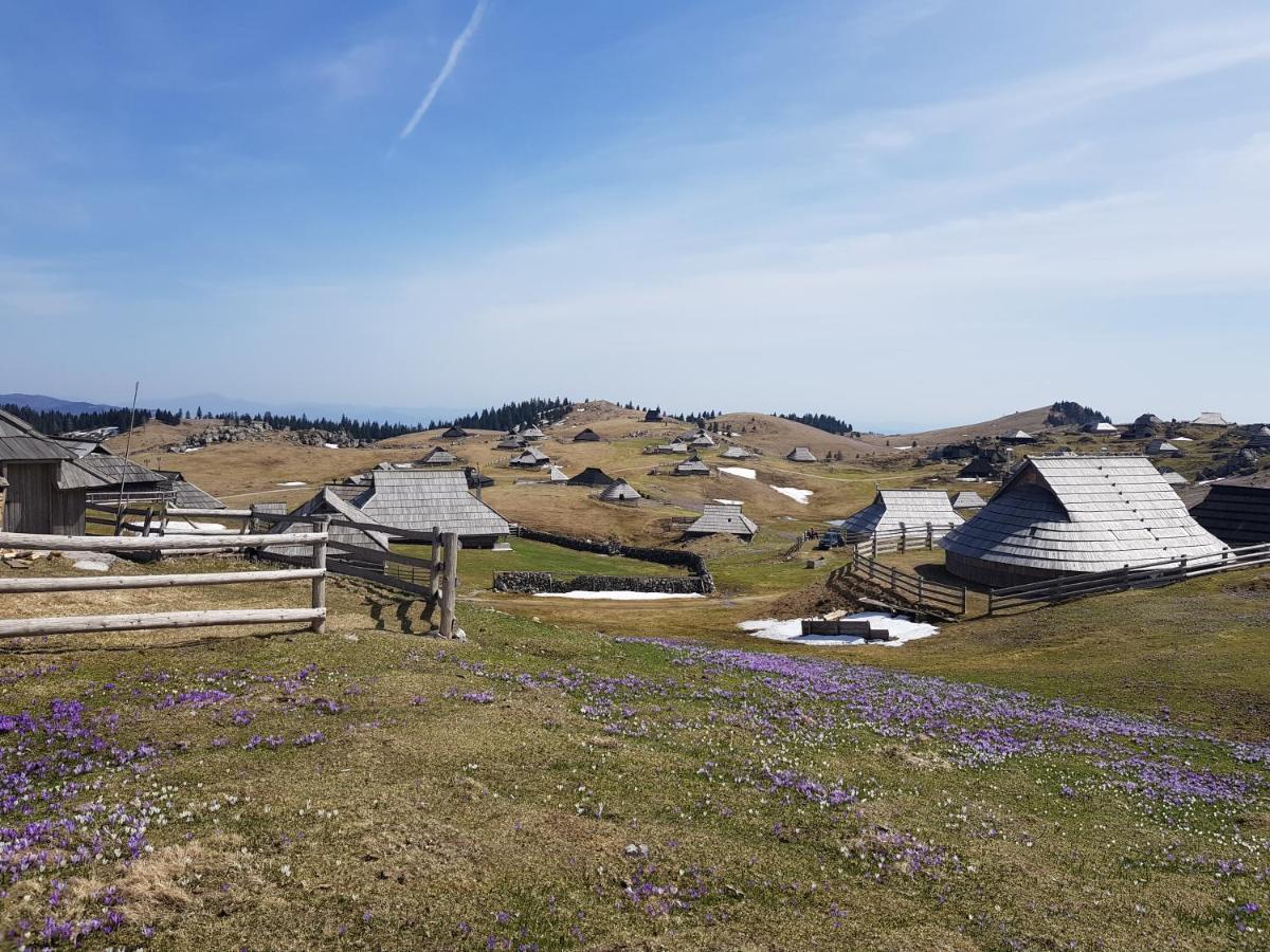 Chalet Gorenjka - Velika Planina Stahovica Eksteriør billede