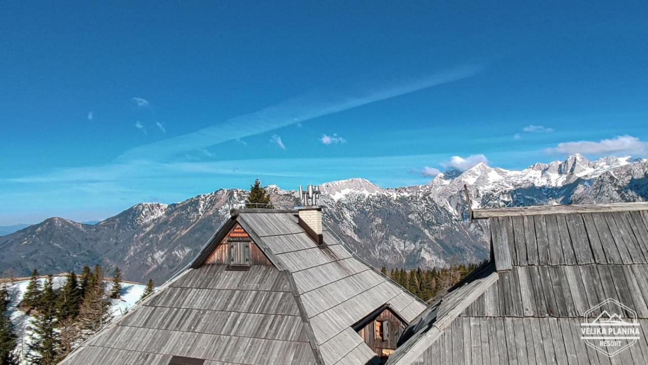 Chalet Gorenjka - Velika Planina Stahovica Eksteriør billede