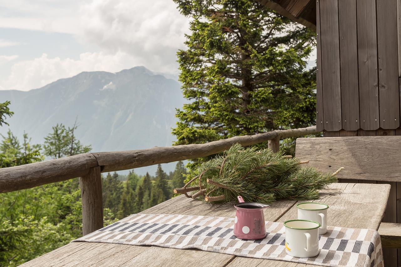 Chalet Gorenjka - Velika Planina Stahovica Eksteriør billede